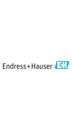 Endress+Hauser - Project - innobit ag